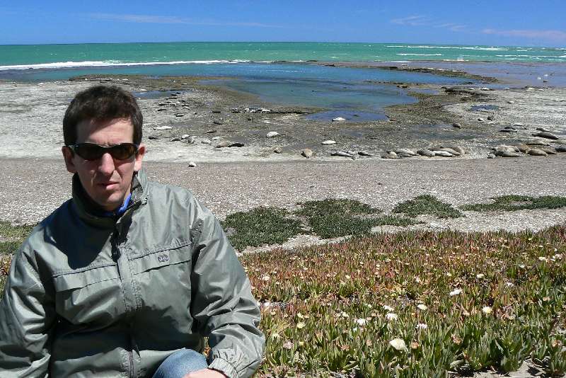 12 Elefanti Marini a Punta Delgada